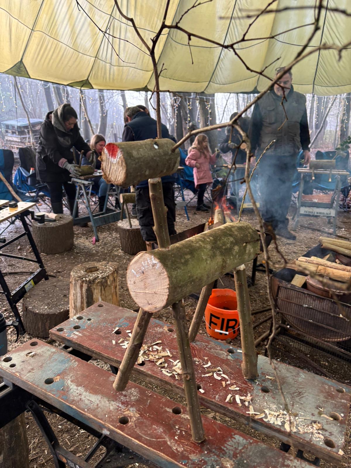 Winter In The Woods - image 6