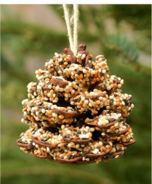 Inter-generational Wilder Well-being - image 3