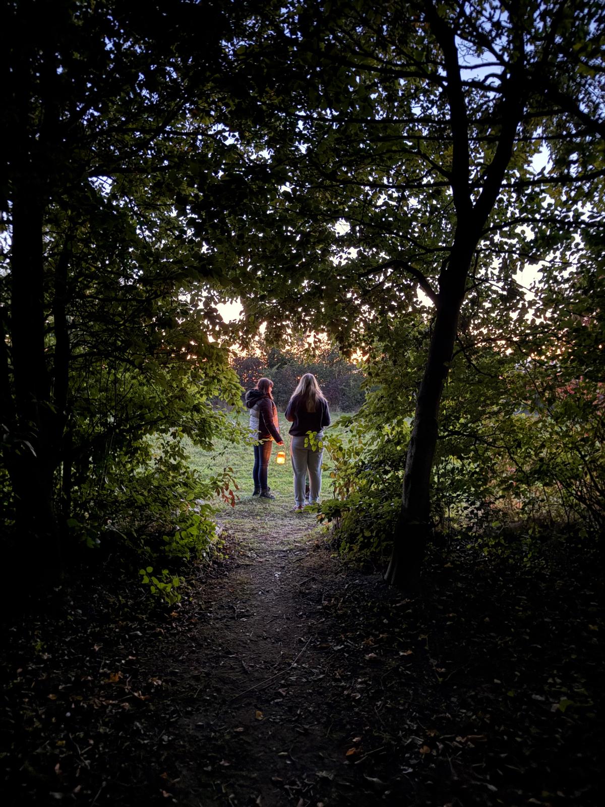 Thornham Walks Forest Bathing - image 10