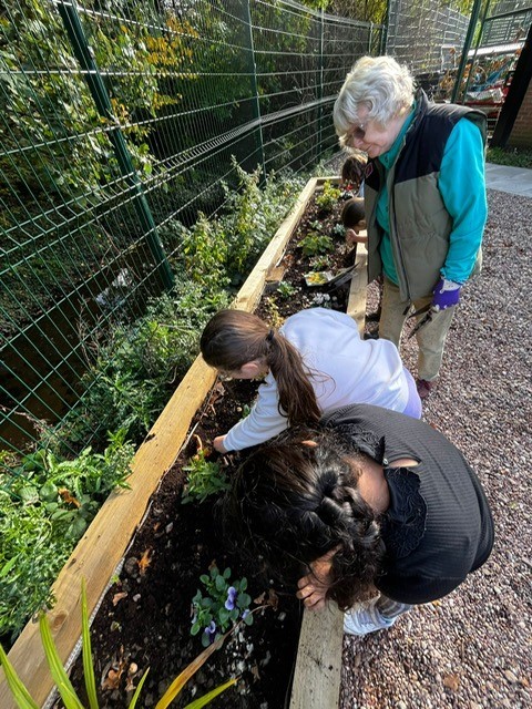 The Grove Community Hub - HAF Club - image 23