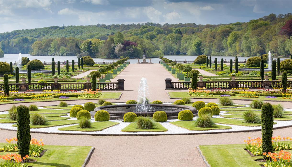 Action for Children (Family) Trentham Gardens - image 2