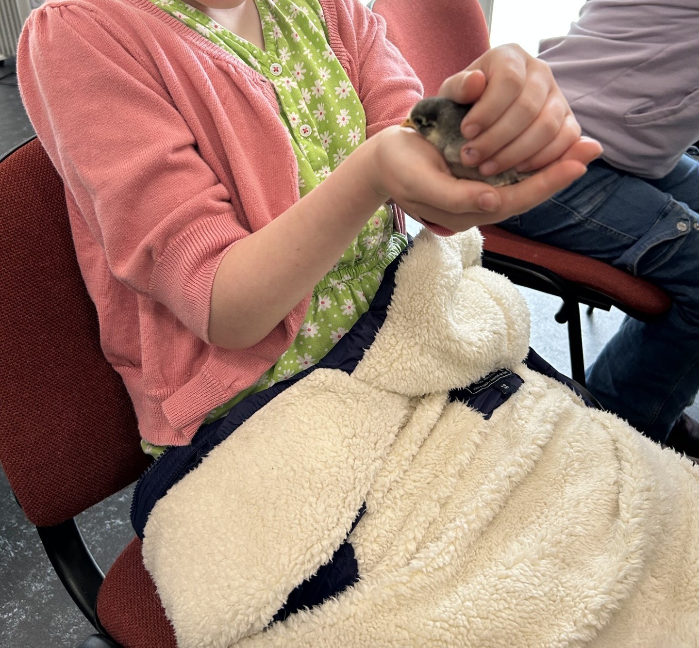 Doodle Art & Crafts - image 7