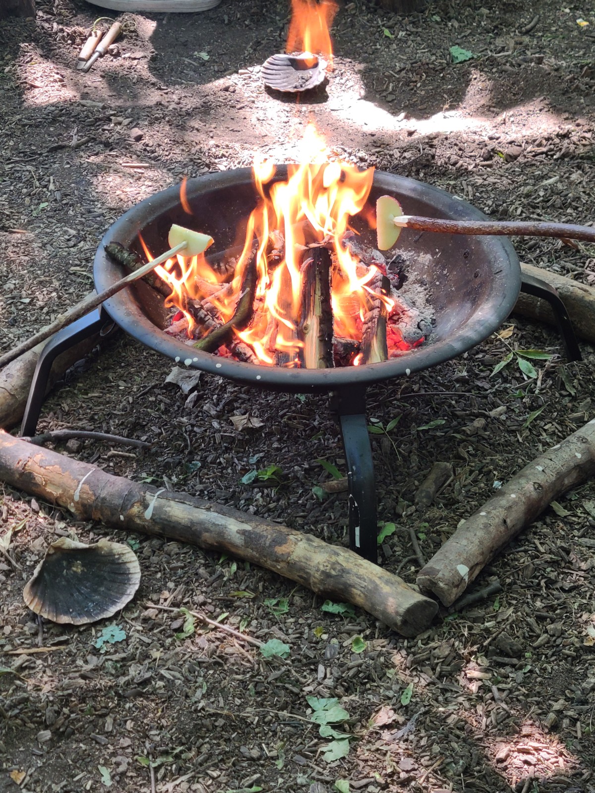 Summer Forest Adventures & Wild Skills Day Out - image 4