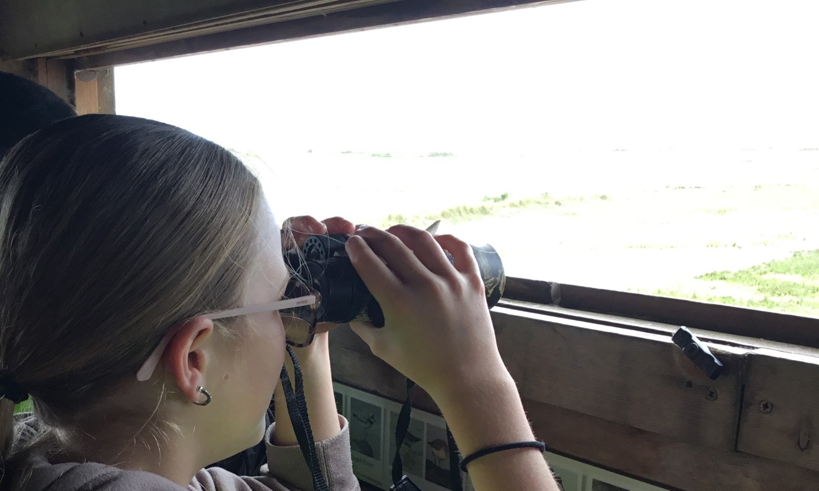 Wild about Birds at Rye Harbour - image 2