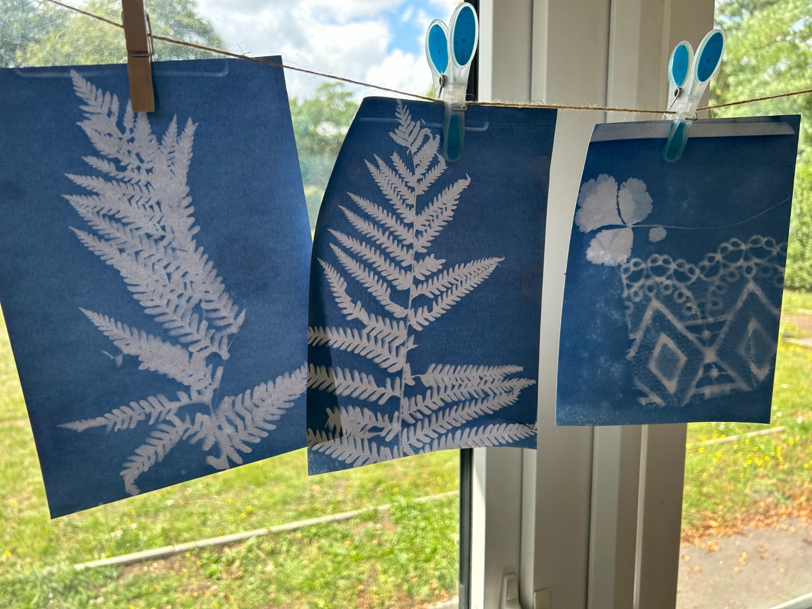 Explore the Wild Activity HAF Camp - image 14