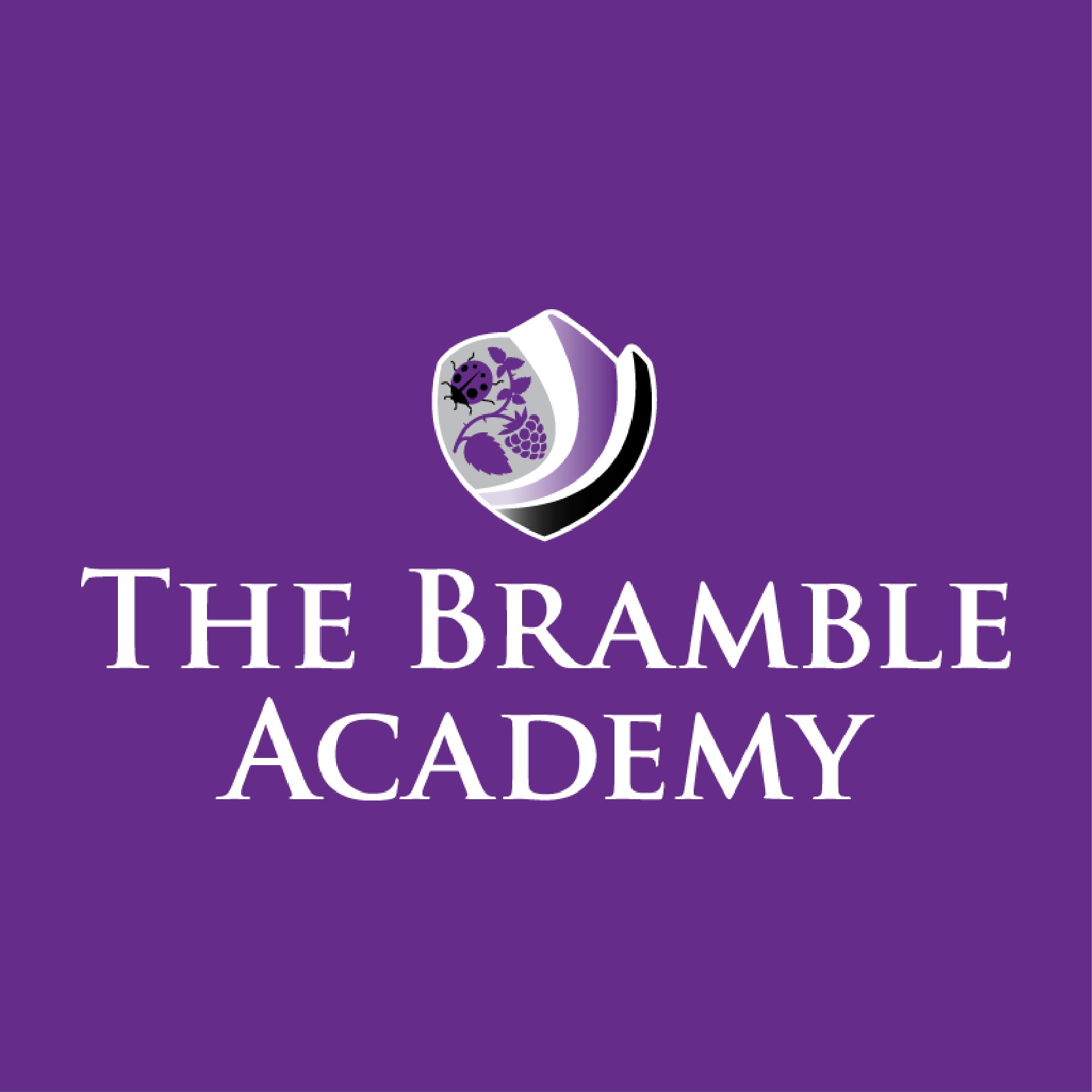 Bramble Academy HAF Holiday Club - image 4