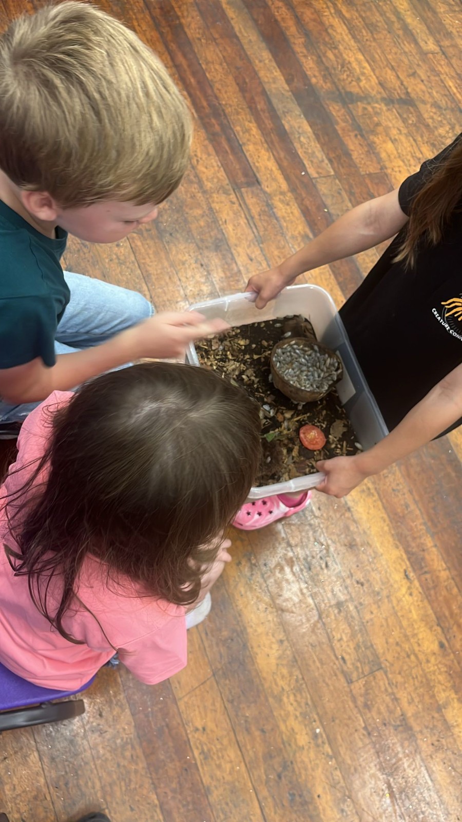 Club Edge - Summer Camp - image 11
