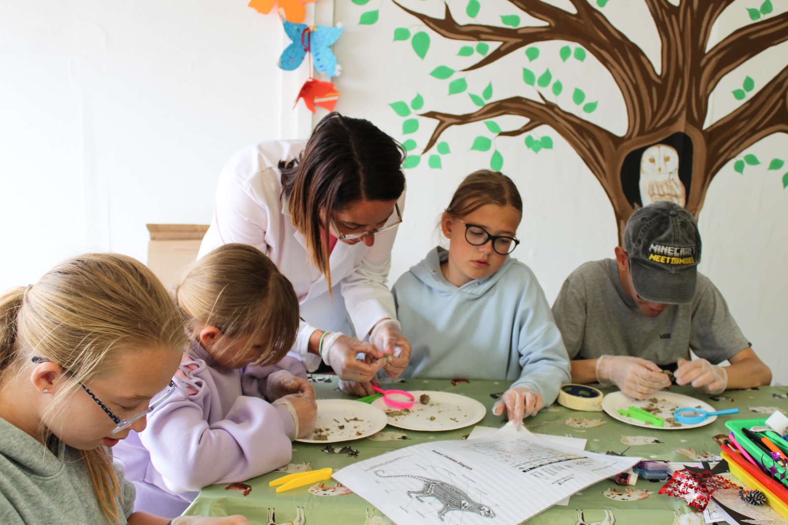 Zoe's Party Animals- Holiday club- Inc HAF - image 4