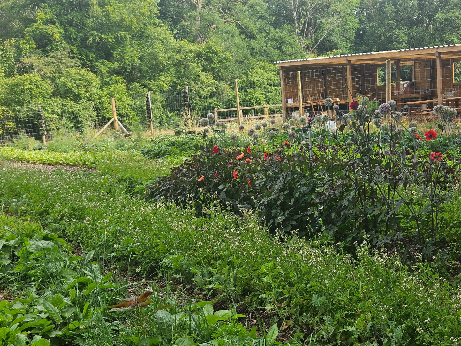 Worthy Earth Gardening Camp - image 8