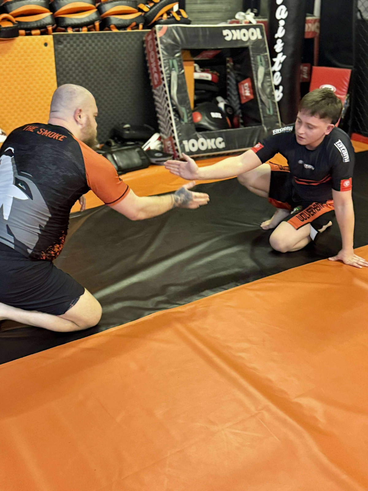 Free wrestling and mixed martial arts - image 3