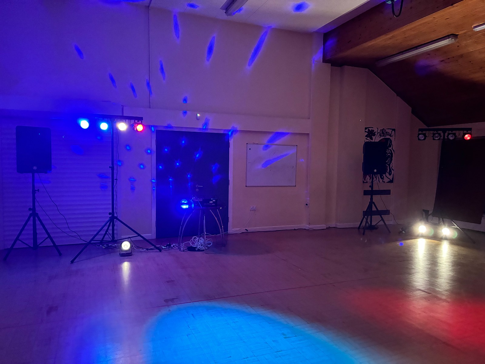 BYC Halloween Disco - image 2