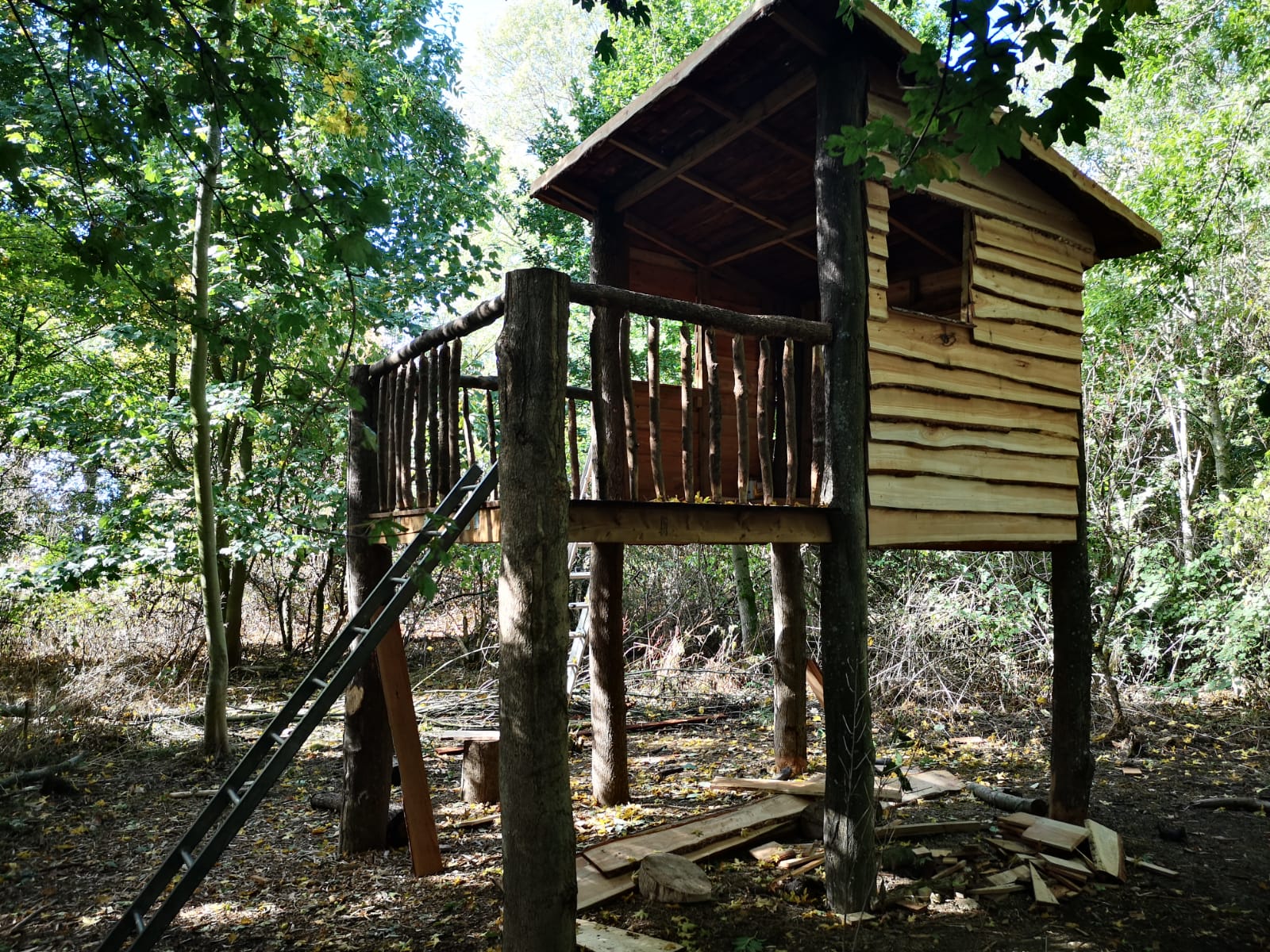 Archery, Rifles food and fires - image 3