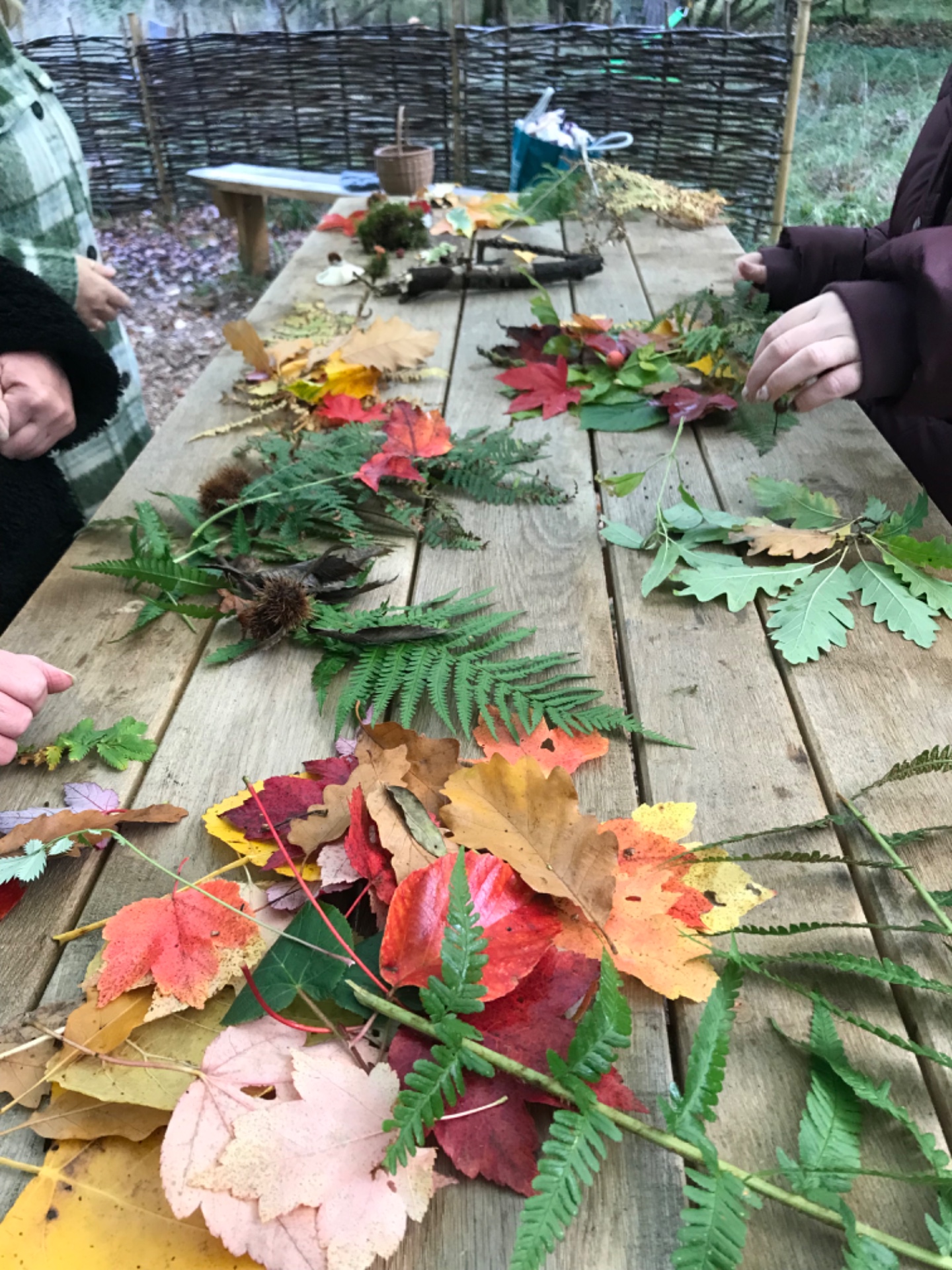 Thornham Walks Forest Bathing - image 5