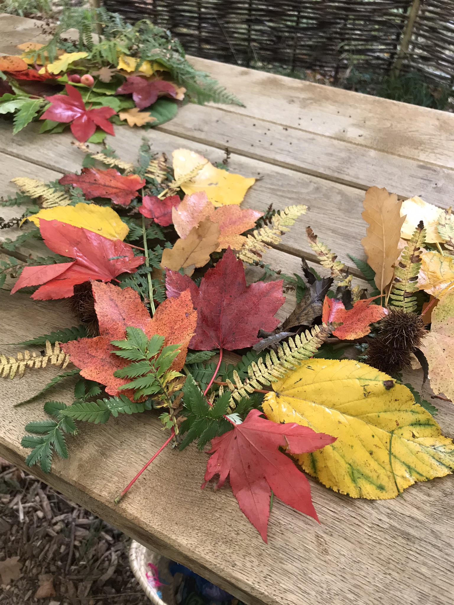 Thornham Walks Forest Bathing - image 2