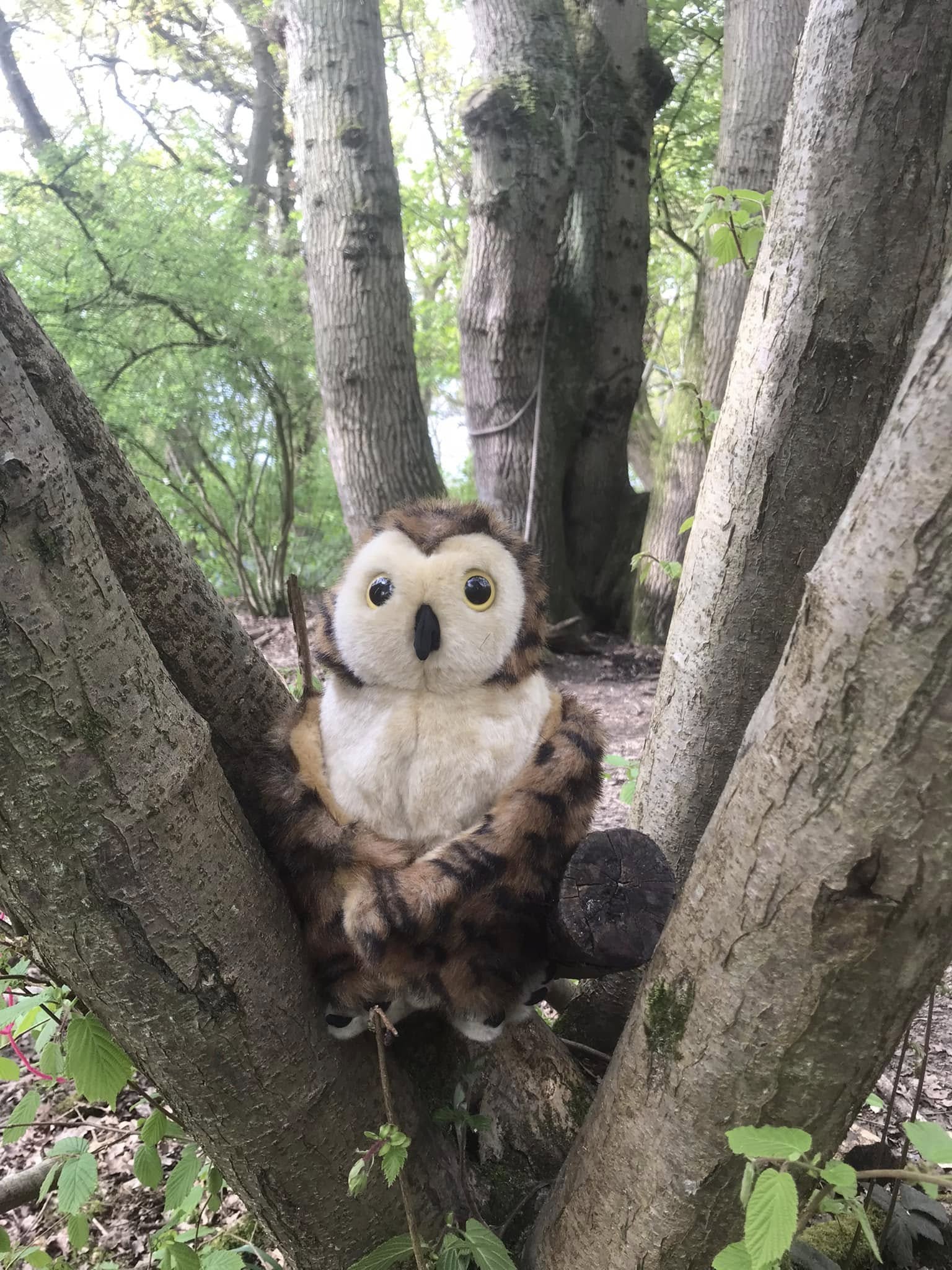 Fire and Fell Sparks Parties - image 5