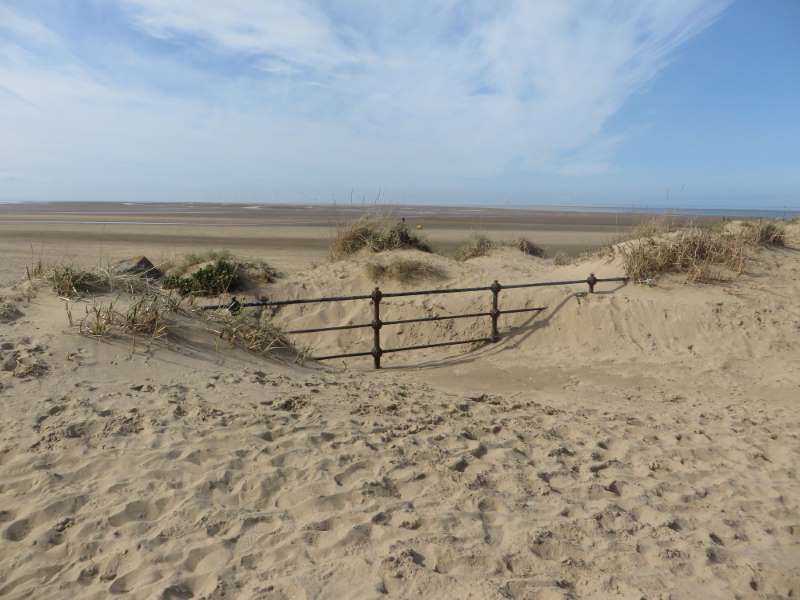 Action for Children - New Brighton Beach block mentored by Action for Children