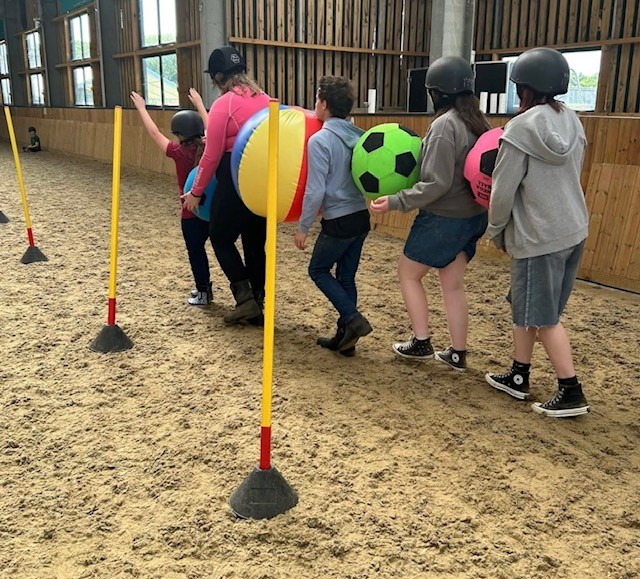 Wight Horse CIC HAF Equine Activities - image 2