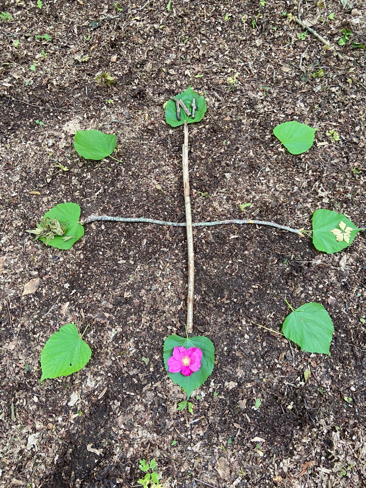 New Weekly Home Ed Forest School - image 2