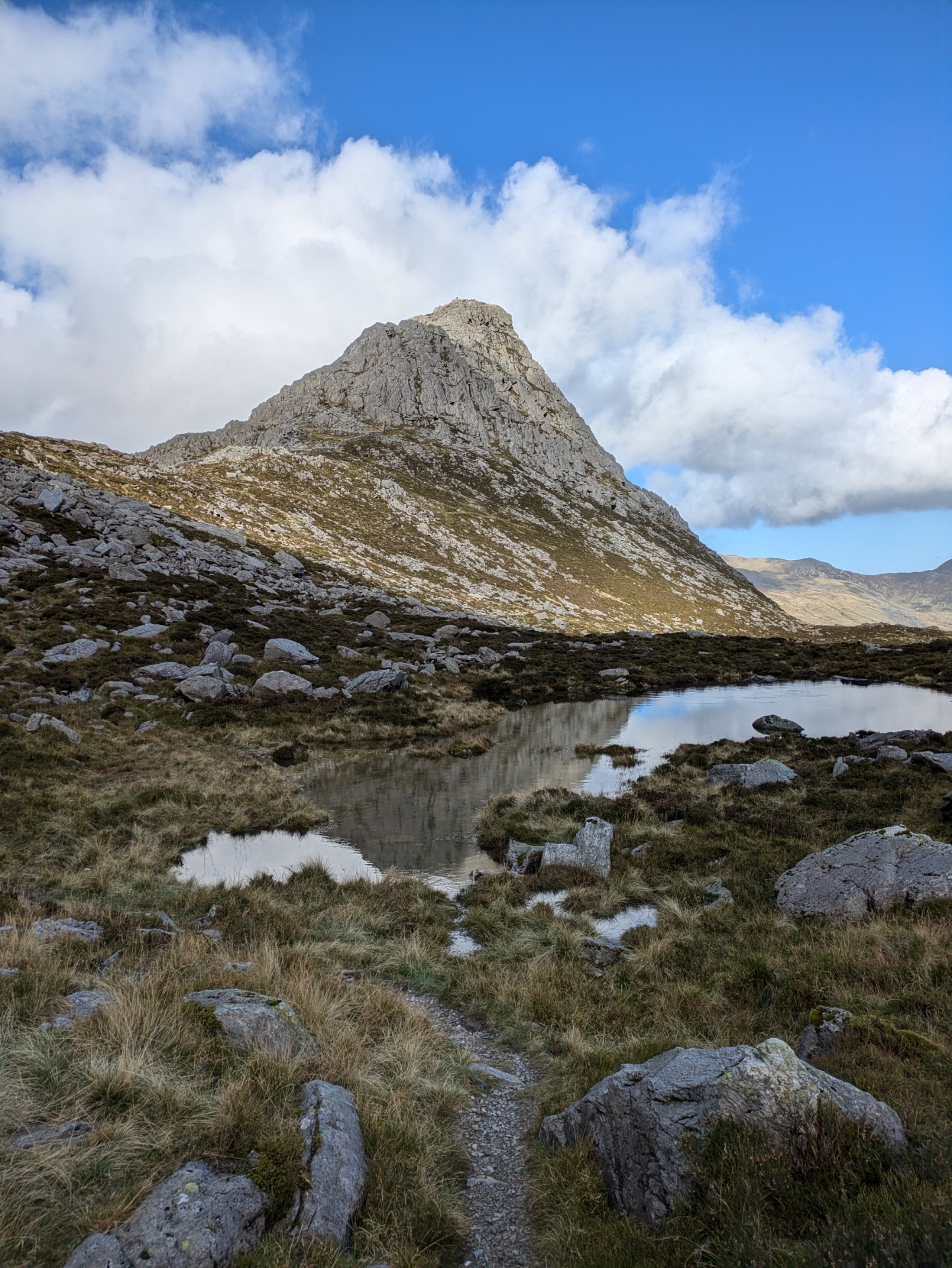 LHW Welsh 3000ers -minus the scary ones! - image 6
