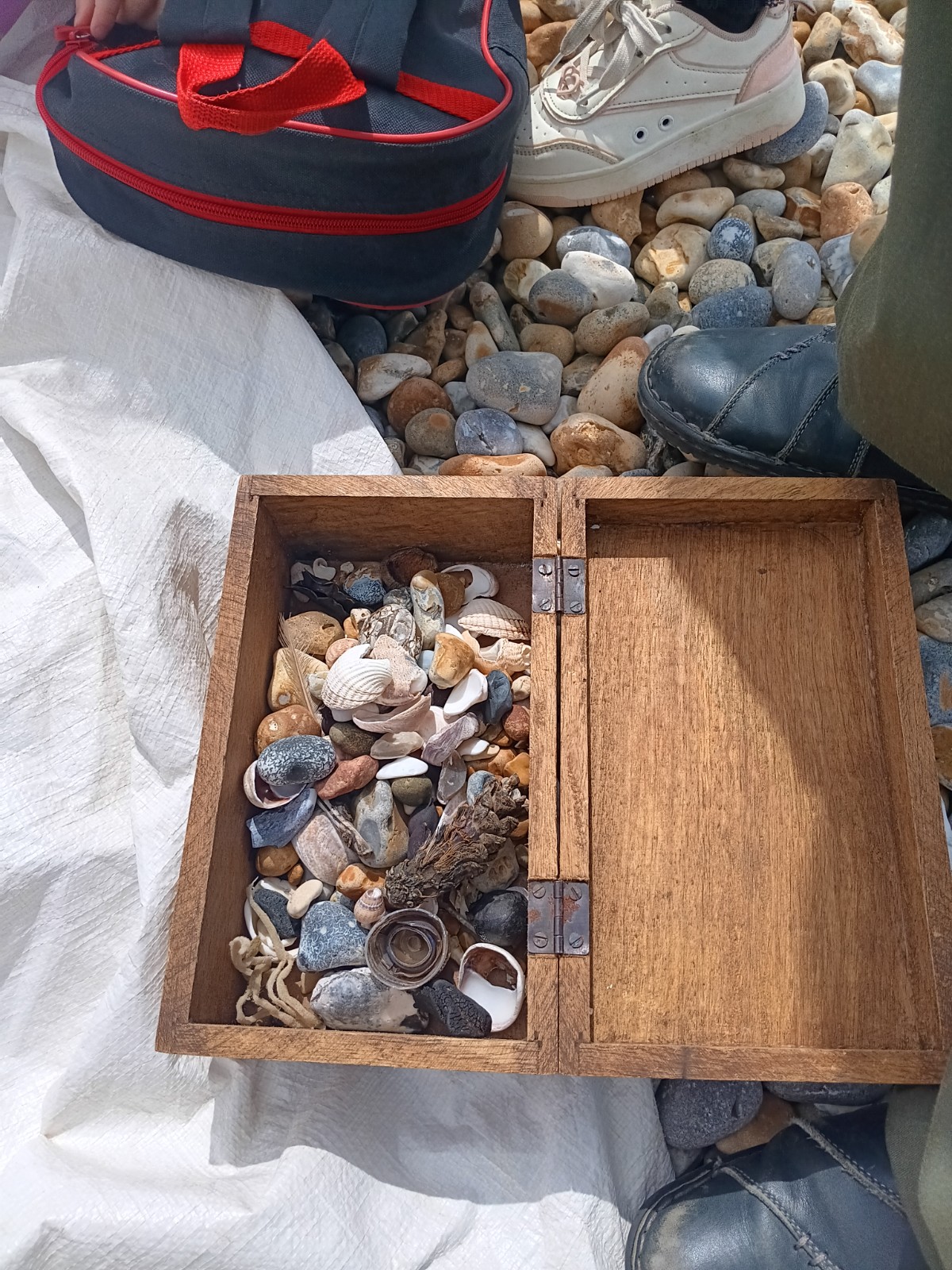 Shore Academy - image 2