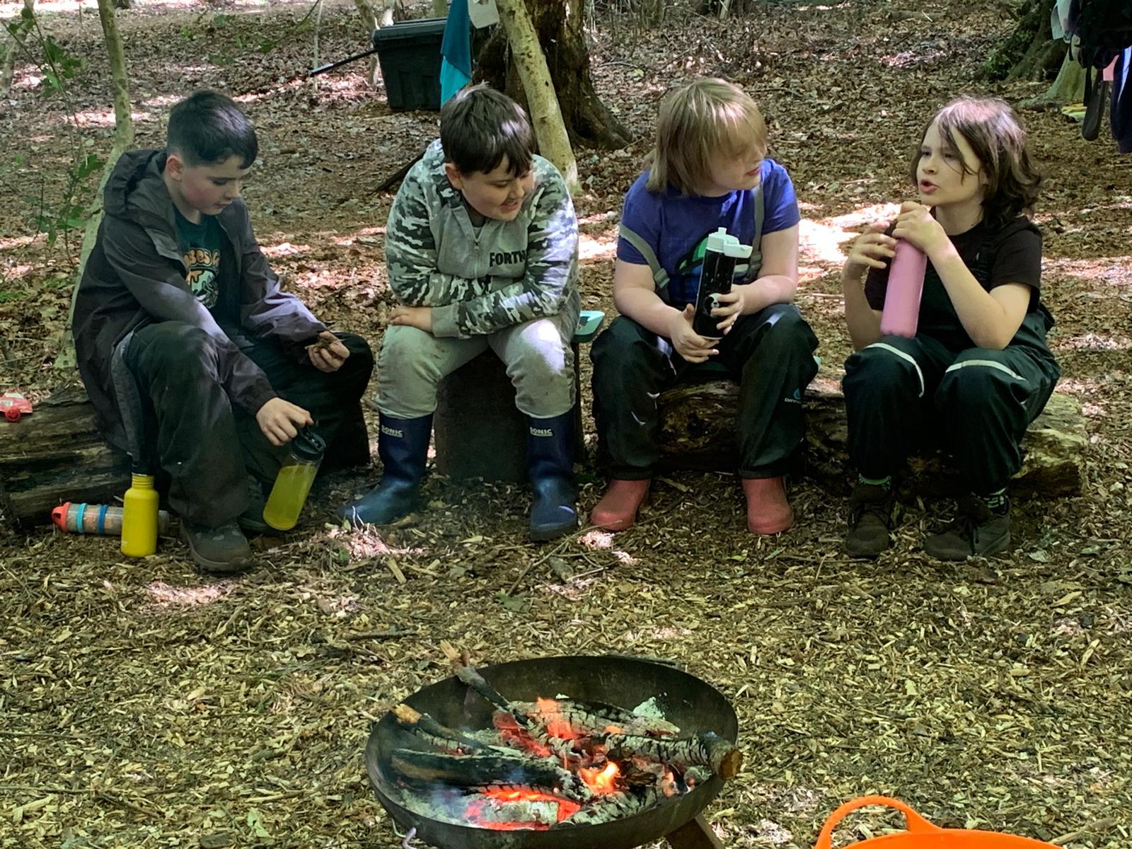 Liverpool Home-Ed Forest School - image 2