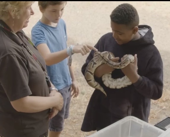 Limitless Activities @ Westfield Haverhill - image 2