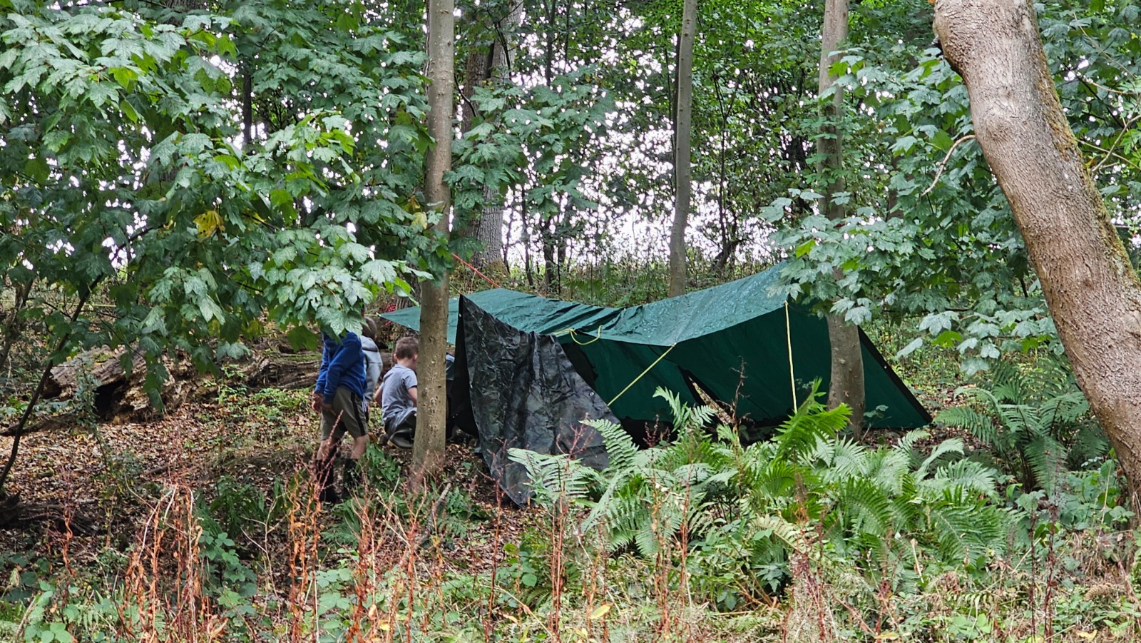 Down In The Forest - Holiday Club - image 5