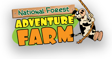 AH Let us Play- National Forest Adventure Farm block mentored by Let Us Play Wolverhampton