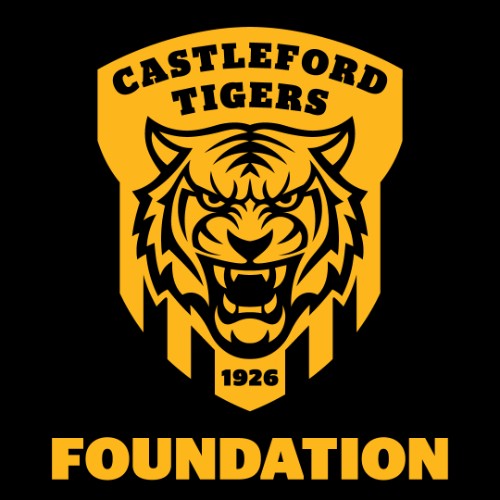 Castleford Tigers Activity Camps - image 3