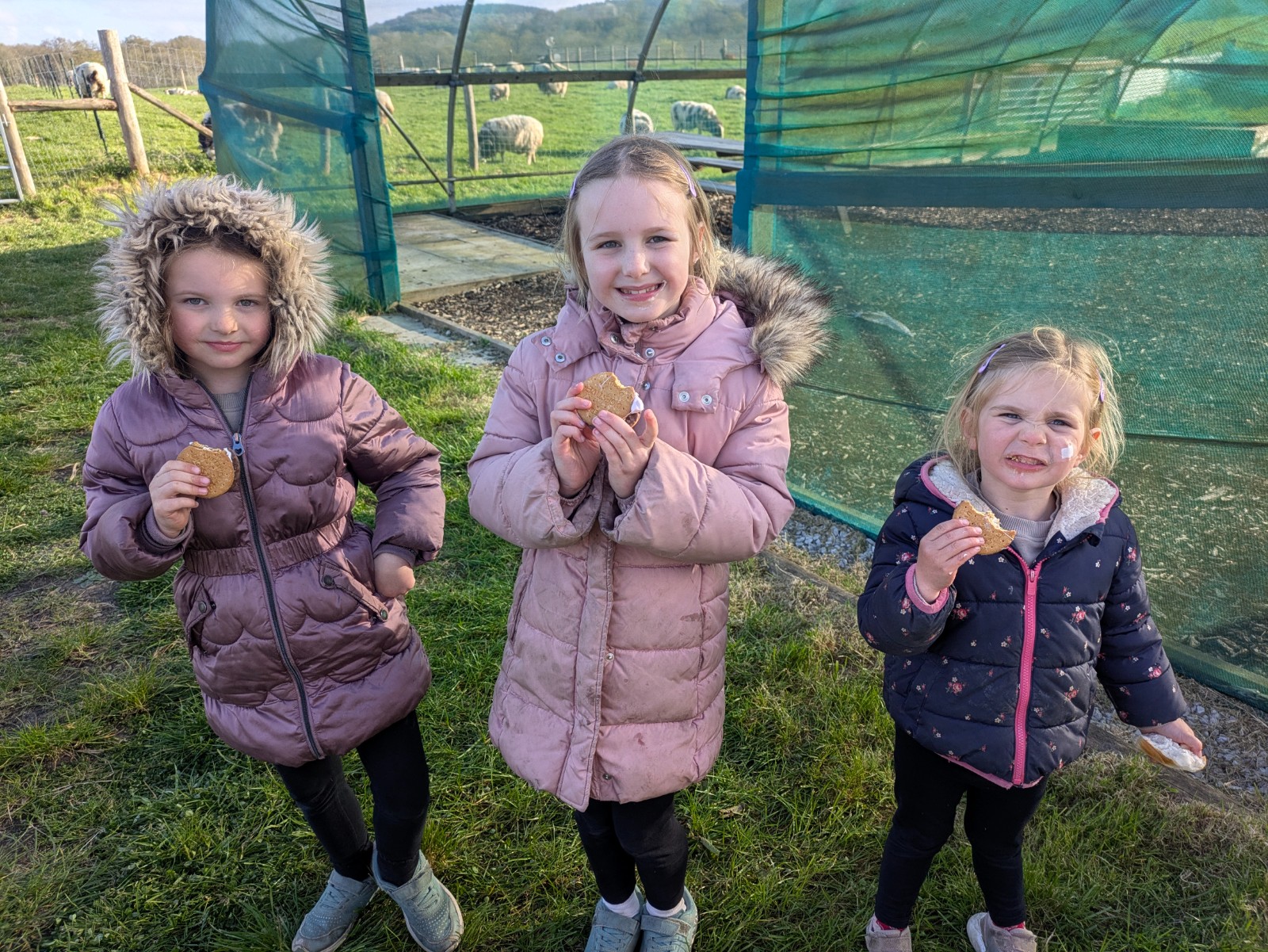 Surrey Hills & Rivers Holiday Camp - image 4