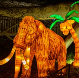 Land of The Lights Family Fun - image 3