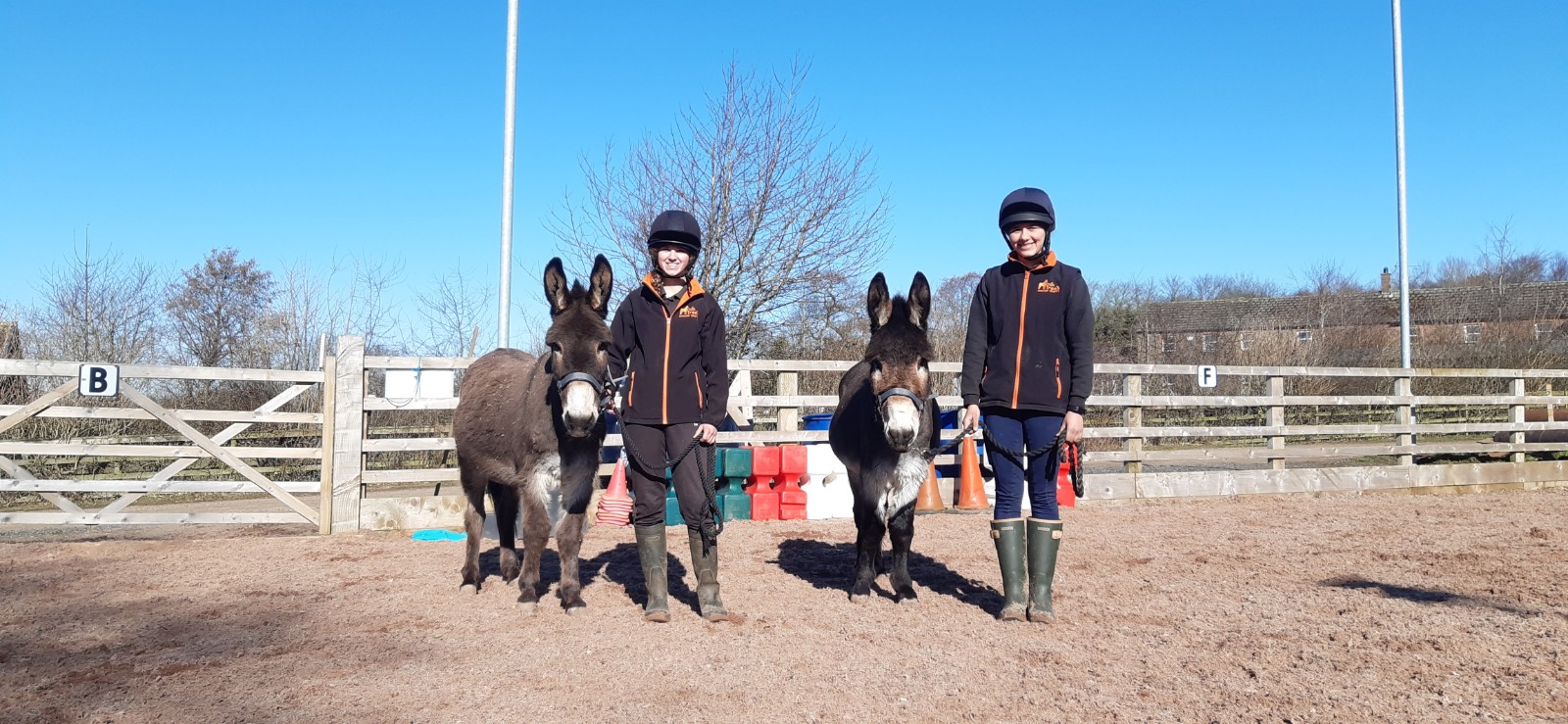 Oak Tree Animal's Charity Fun Days - image 3