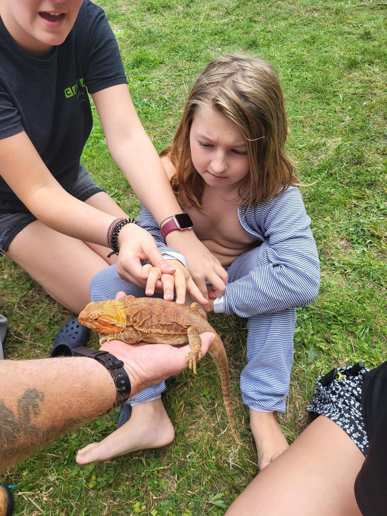 Multi Activity Day - image 5