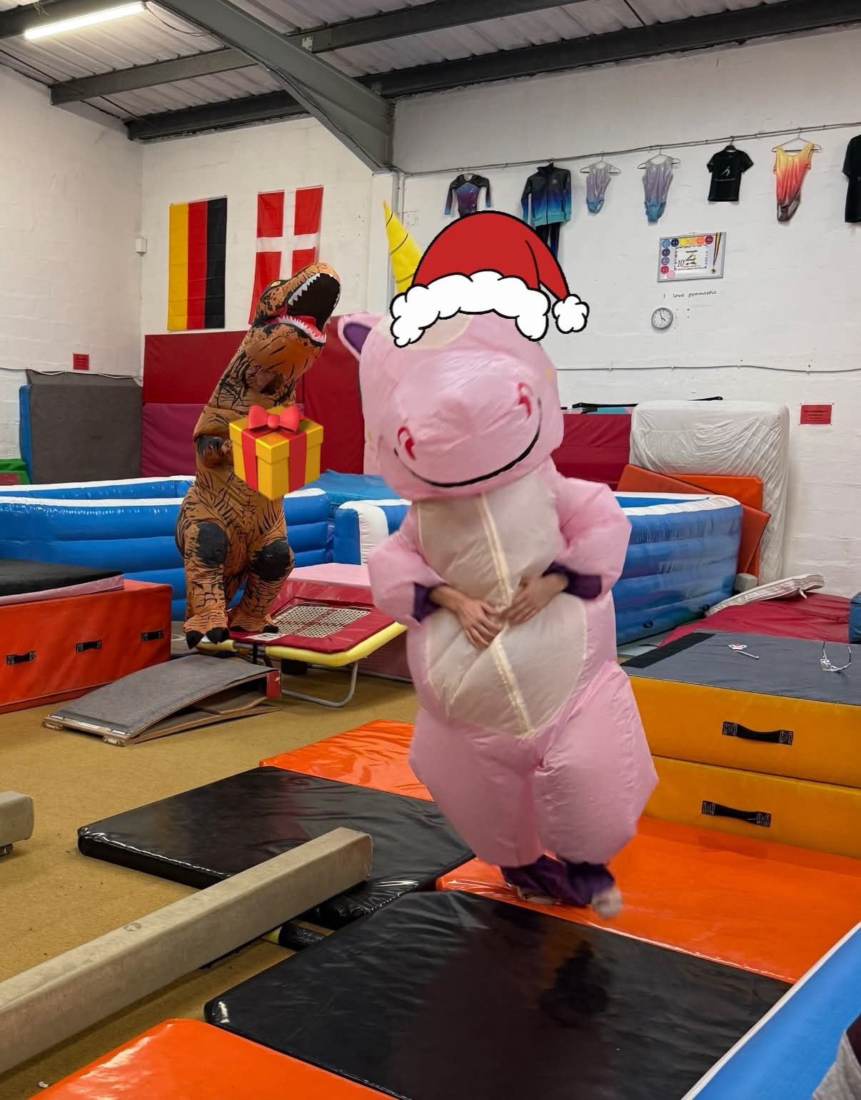 HAF Winter Gymnastics Camps block mentored by Viva Gymnastics Club