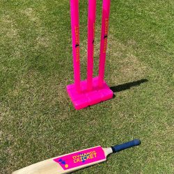 Rothwell Town Cricket Activities - image 2