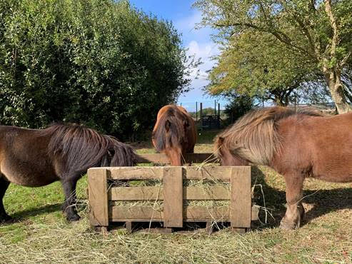 Watersports & Animal Adventures@Welton Waters - image 3