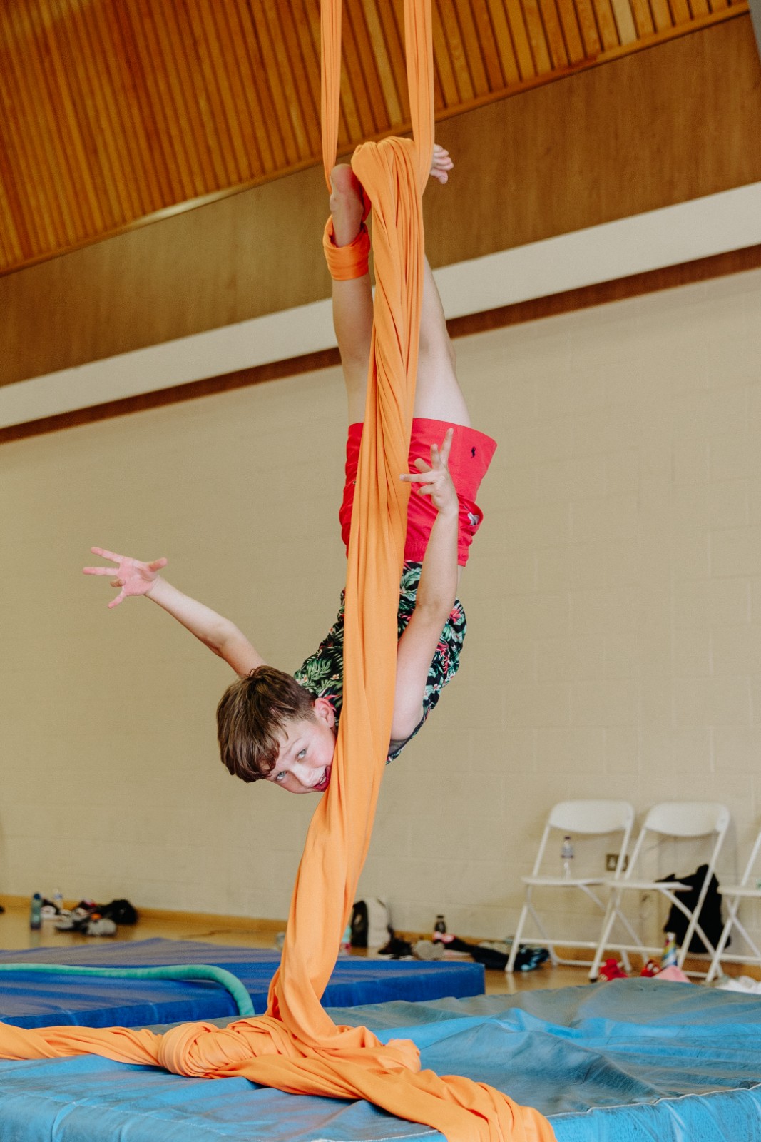 Aerial Silks, Hoop & Acrobatics Camp! ✨ - image 17