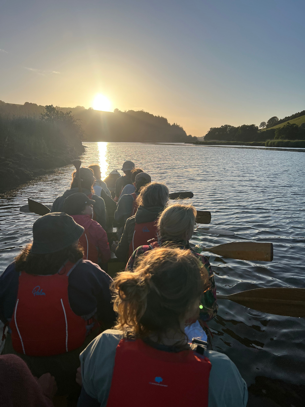 Nature Adventures on the Dart Estuary - image 8