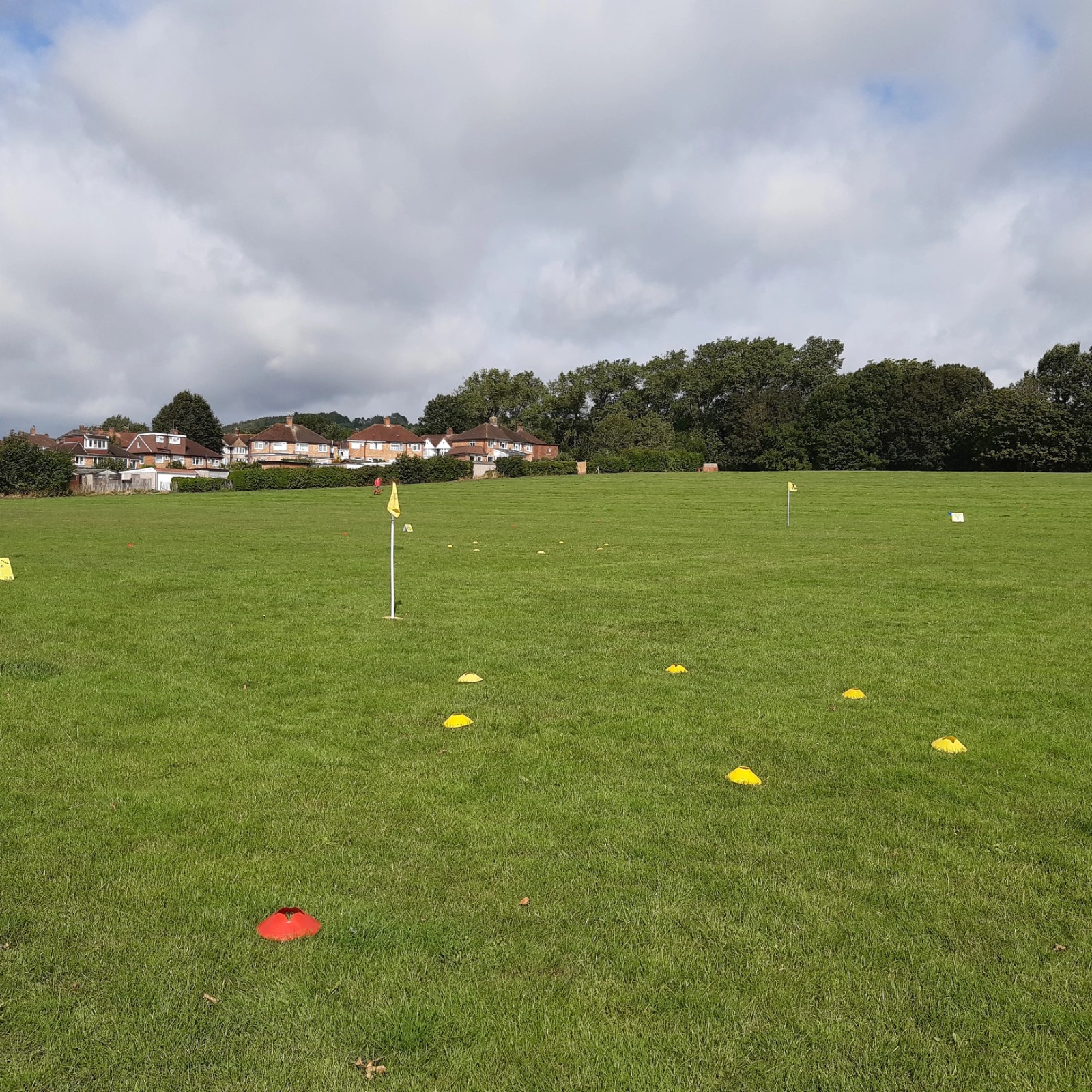 Golf in the Park - Leatherhead - image 3