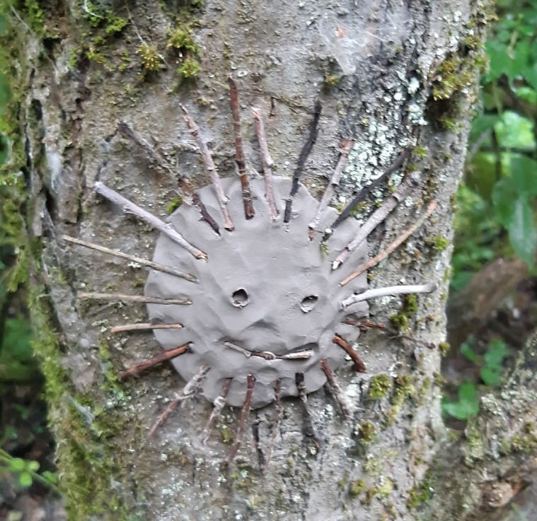 In the Canopy: Outdoor Adventure - Howden - image 9