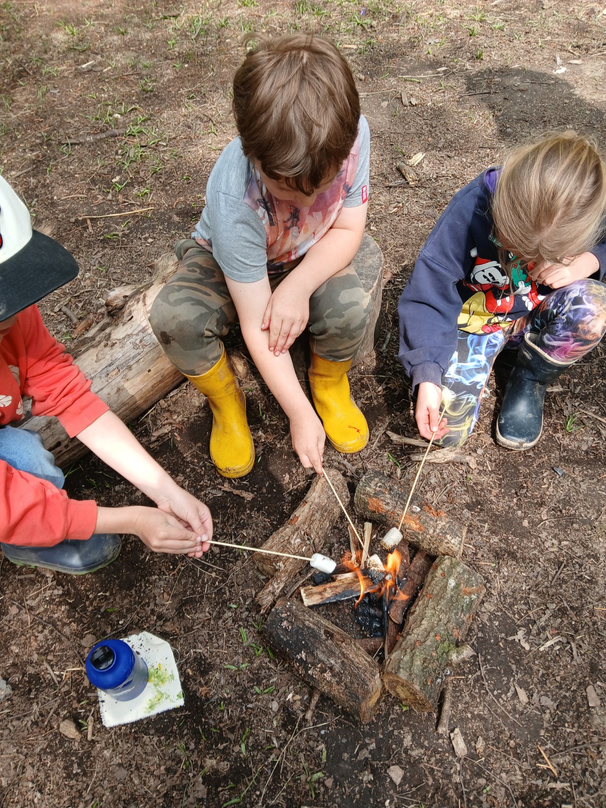 Cook in the Woods - image 5