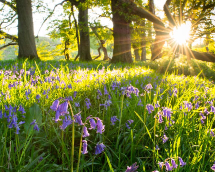 FSA Sussex Spring Network Day 
21st March 2026 - image 32