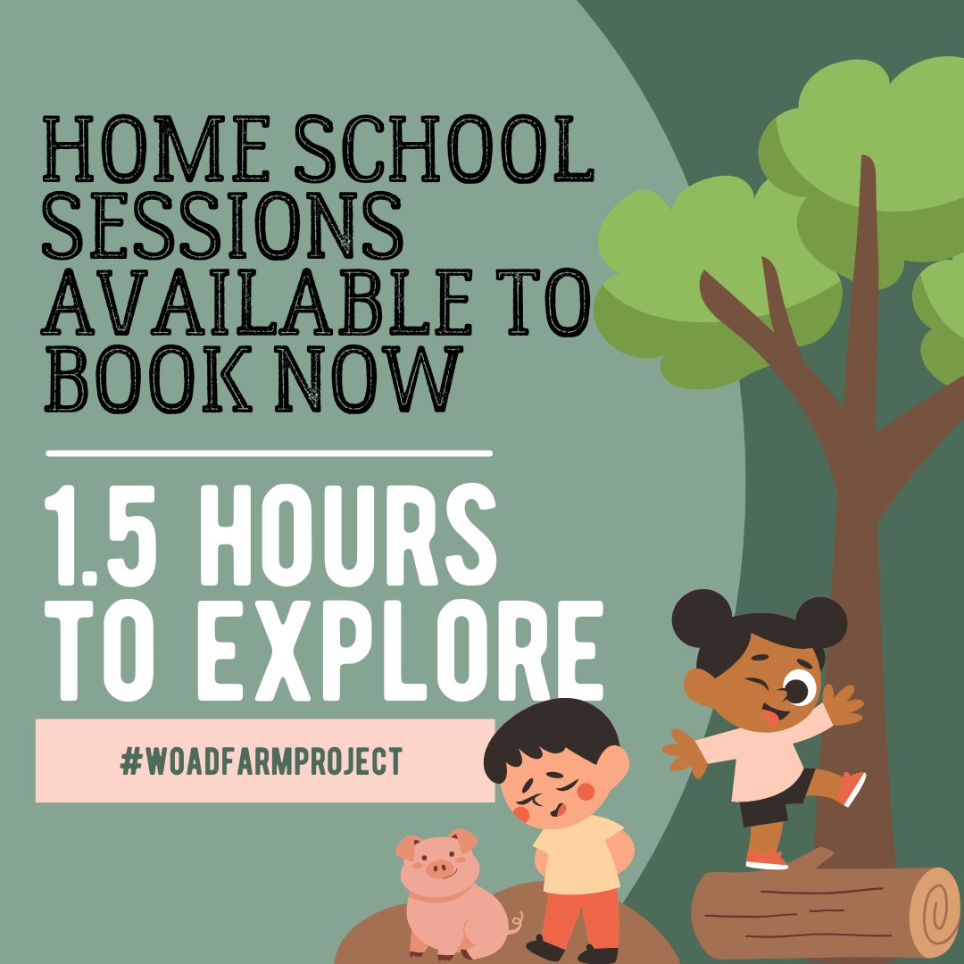 Home School Groups block mentored by The Woad Farm Project