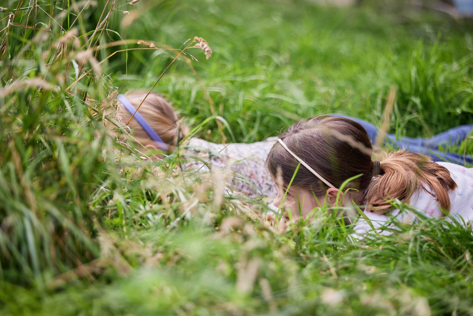Farm & Outdoor Adventure @ Market Weighton - image 17