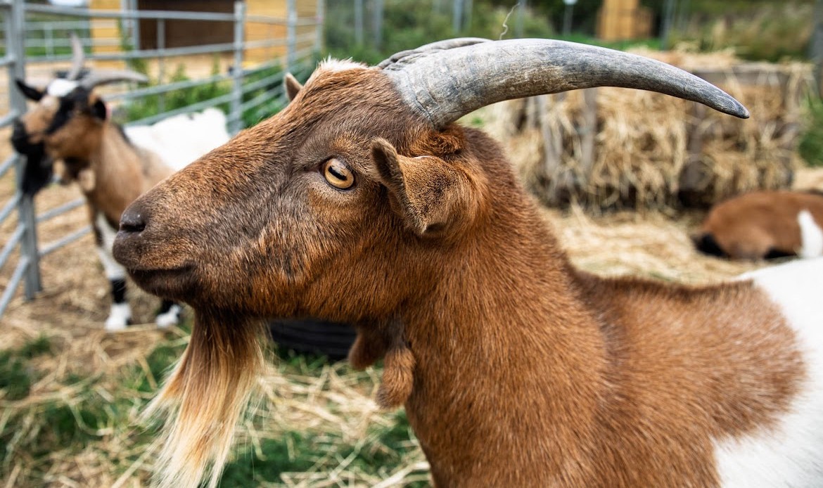 HAF Easter Holiday Club - image 3