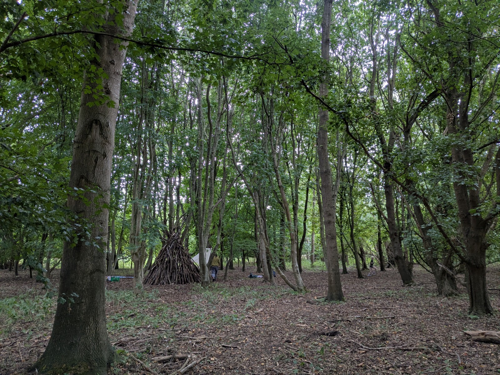 Friday Stay and Play block mentored by New Leaf Forest School