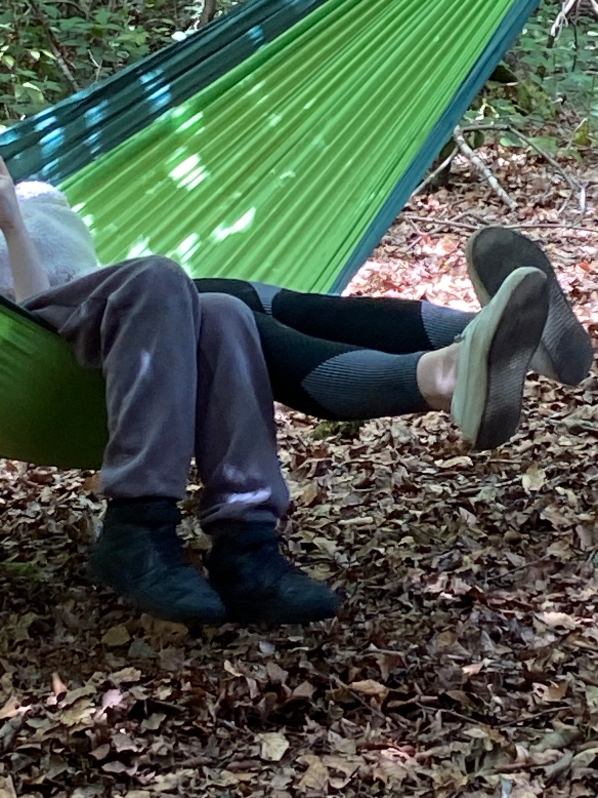 New Weekly Home Ed Forest School - image 4
