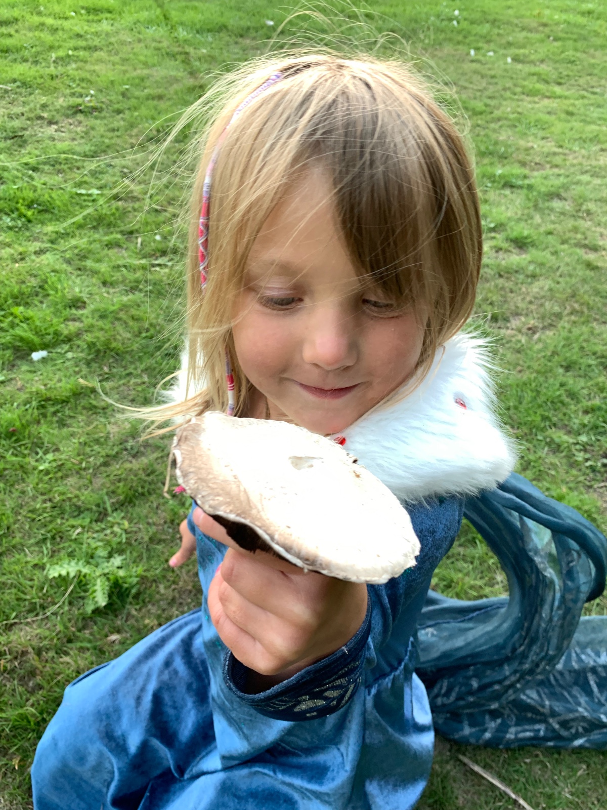 Fungi, Fire and Family Fun! - image 8
