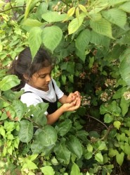 St Barnabas C of E - HAF Club - image 2