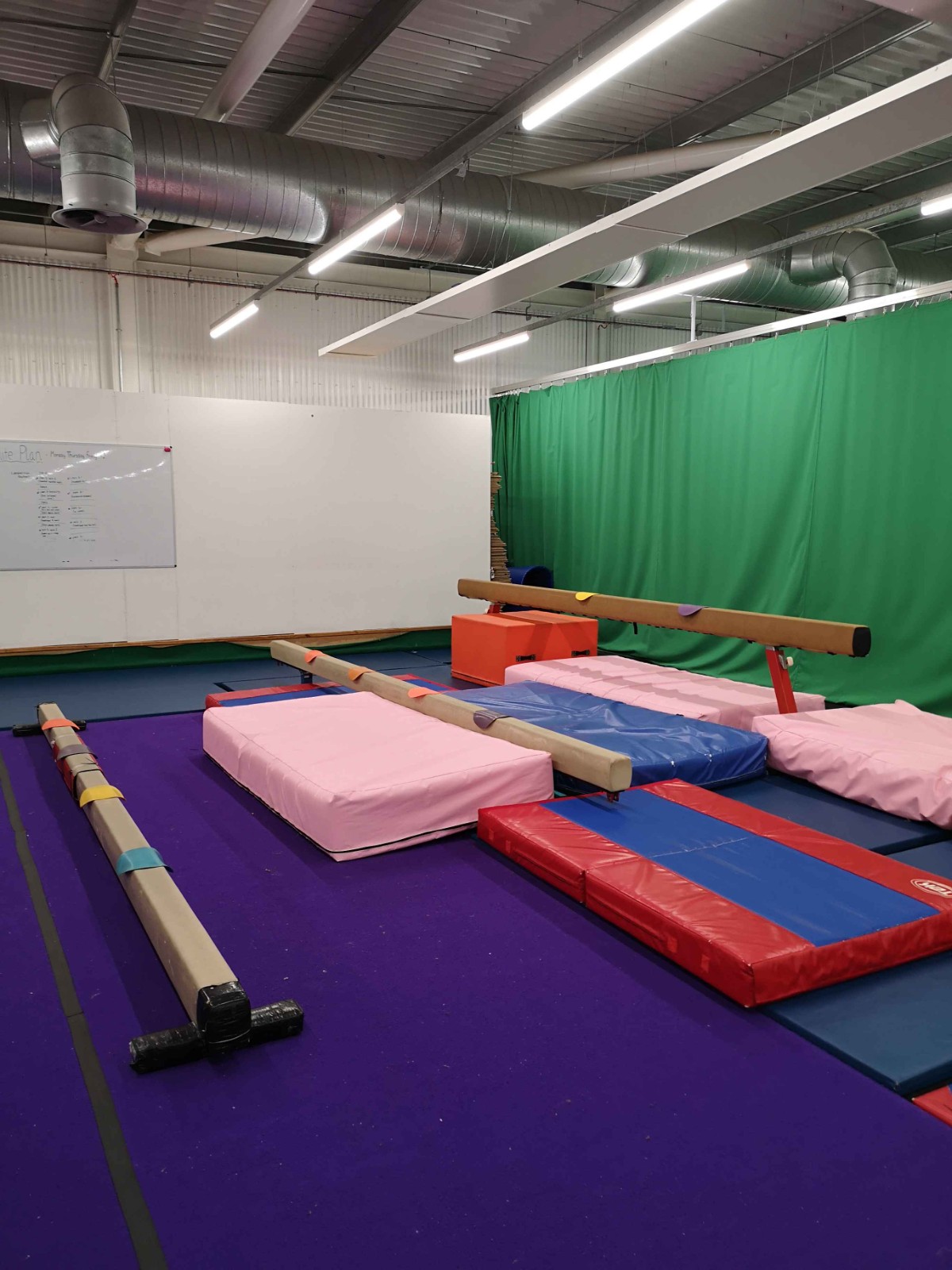EA Gymnastics - Thetford BNHF CAMP - image 3